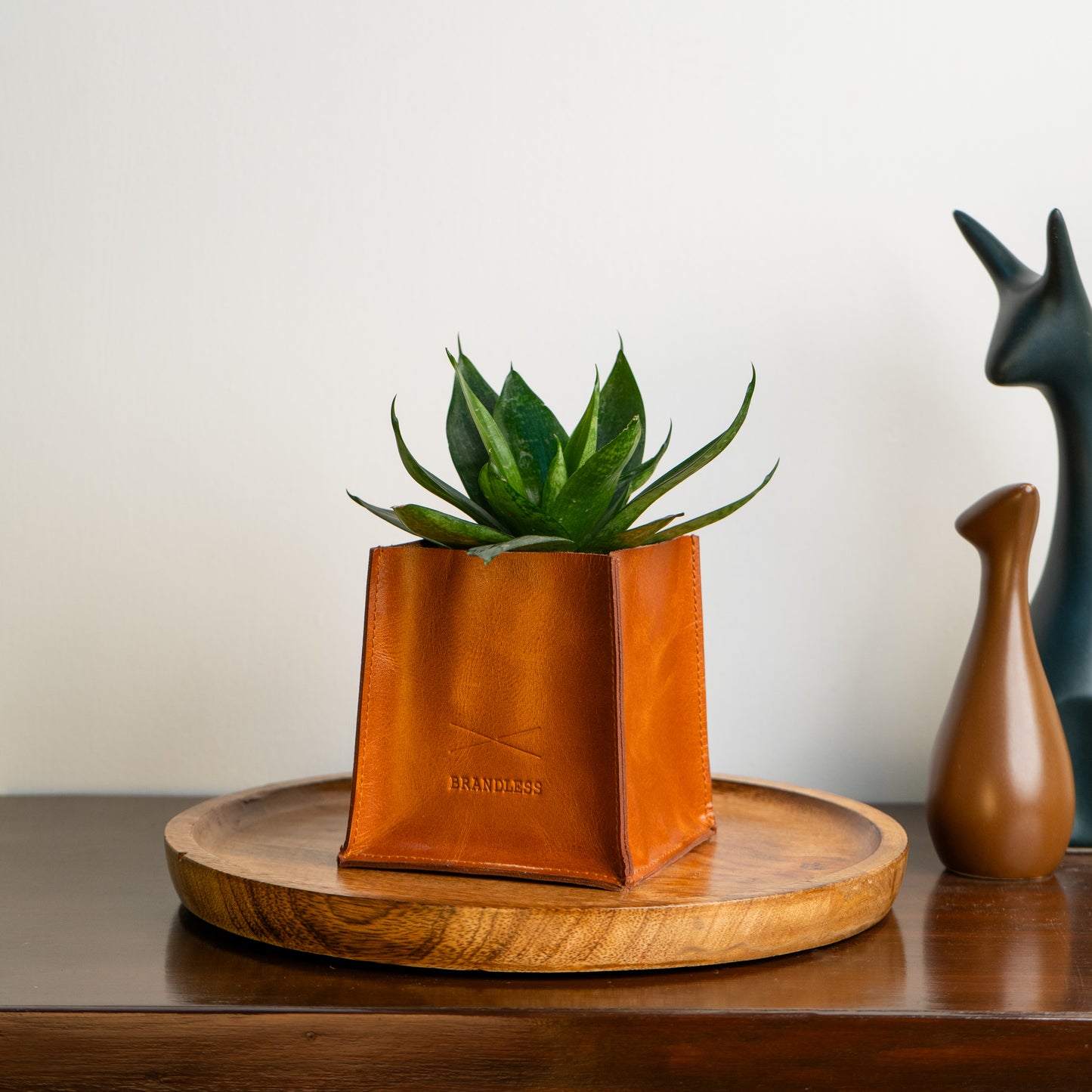 leather plant case 